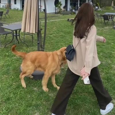 小镇大谎